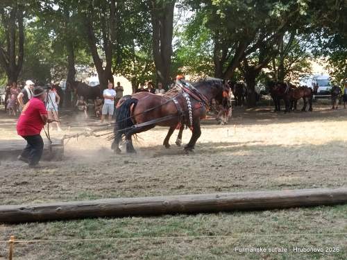 IMG_20260801_161448